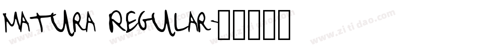 Matura Regular字体转换